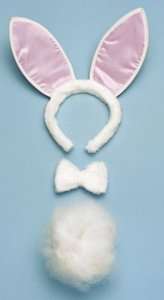 Bunny Costume Accessory Kit  