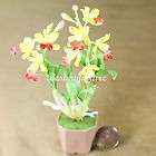 Yellow Cattleya Laelia Orchid Miniature Clay Flower Gar