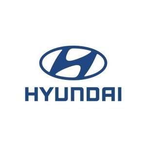  Hyundai Accent Air Filter 2006 2011 Automotive