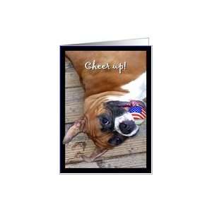 Cheer up Boxer dog Card