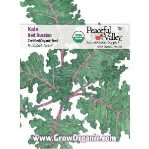  Organic Kale Seed Pack, Red Russian Patio, Lawn & Garden