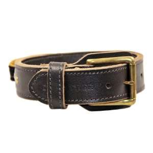Dean & Tyler Leather Dog Collar Simplicity +   Great Collar With a 
