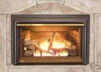 NAPOLEON DIRECT VENT INSERT GAS FIREPLACE GDI44 N  