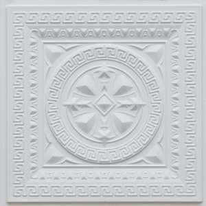  220 Drop In Ceiling Tile   White Matte: Home Improvement