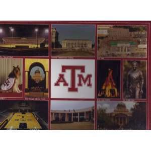   Texas A&M University Aggies Jigsaw Puzzle 62300 Vintage Toys & Games