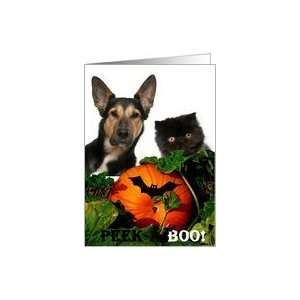  Peek a Boo, pumpkin Halloween card Card Health & Personal 