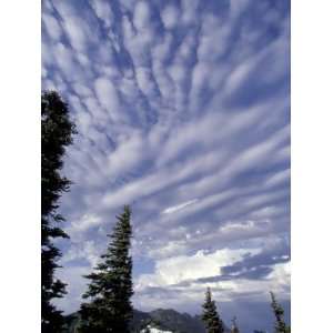 Clouds atop Hurricane Ridge, Olympic National Park, Washington, USA 
