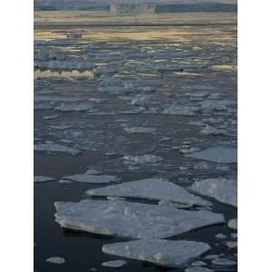 Pack Ice, Weddell Sea, Antarctic Peninsula, Antarctica, Polar Regions 