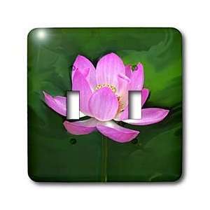 Flowers   lotus   Light Switch Covers   double toggle switch
