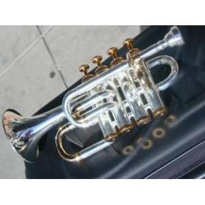  Berkeley Pro Piccolo Trumpet Bb & A (Silver, Gold)wCase 