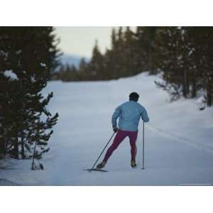  A Cross Country Skier on a Ski Trail in Yellowstone 